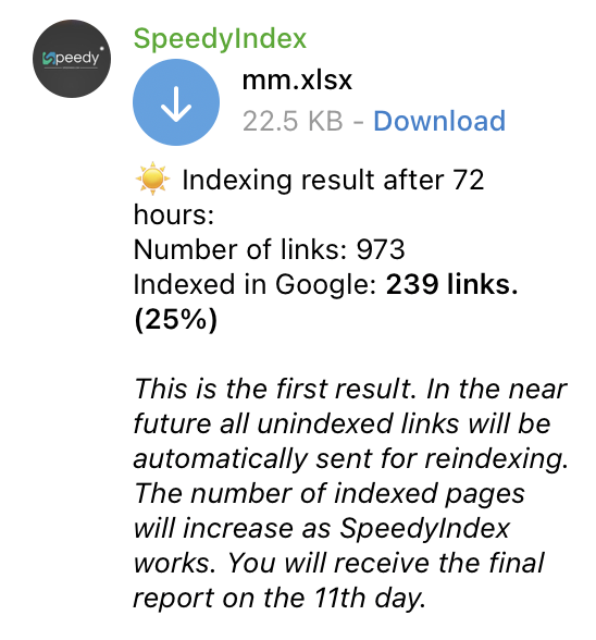 Report from SpeedyIndex